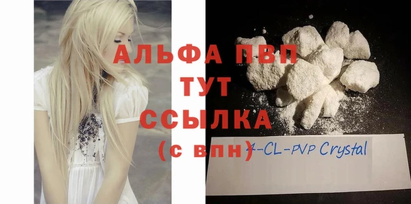 индика Балахна