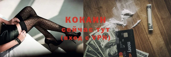индика Балахна