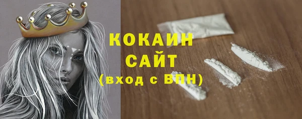 индика Балахна