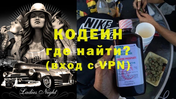 индика Балахна