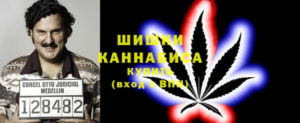 индика Балахна