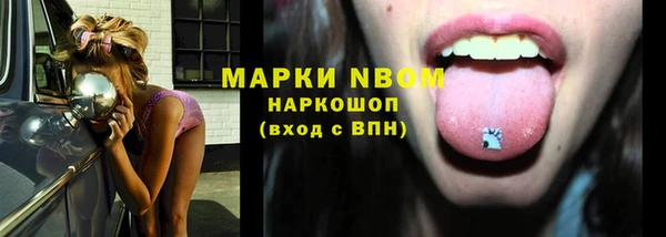 индика Балахна