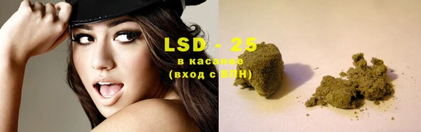 индика Балахна