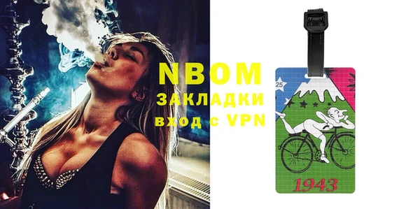 индика Балахна