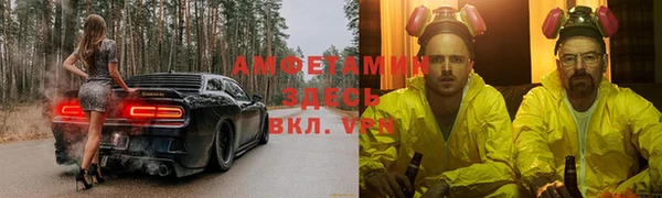 индика Балахна