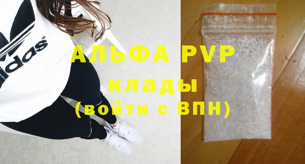 индика Балахна